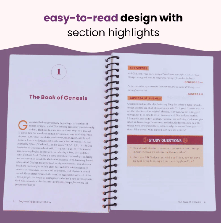 ✝️LAST DAY 49% OFF - 📖The Beginner's Bible Study Guide