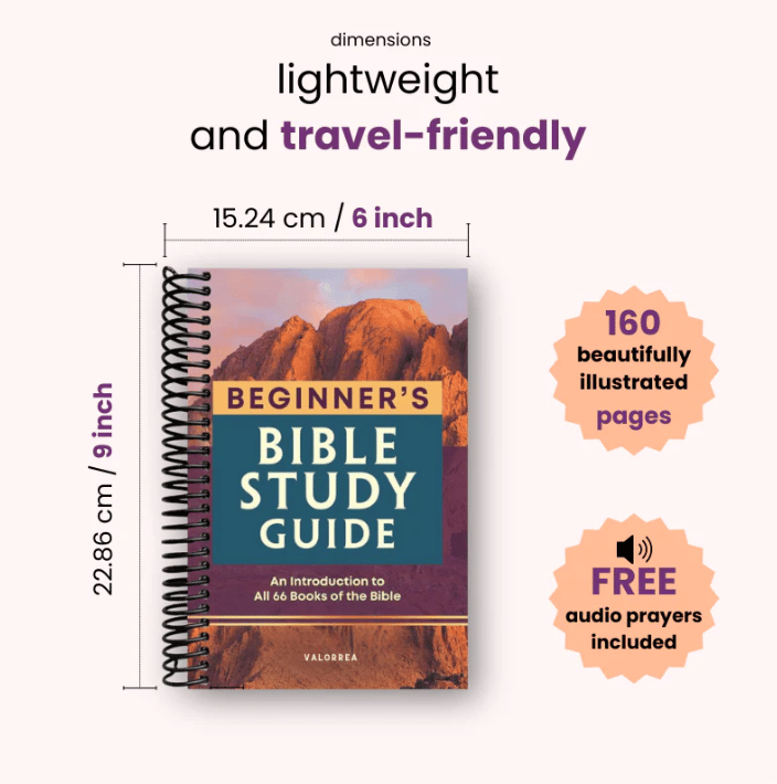 ✝️LAST DAY 49% OFF - 📖The Beginner's Bible Study Guide