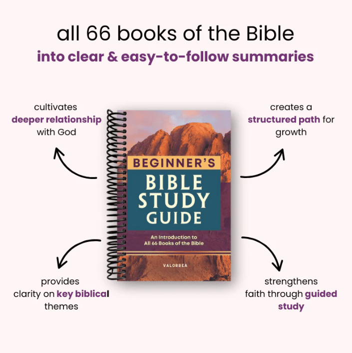 ✝️LAST DAY 49% OFF - 📖The Beginner's Bible Study Guide