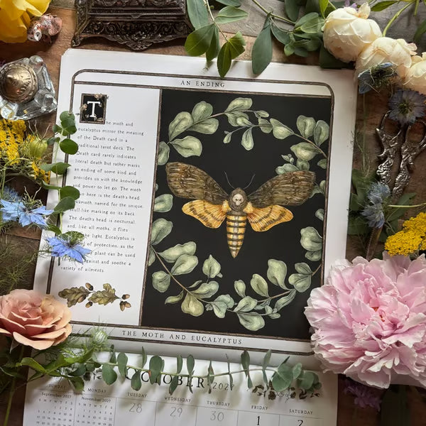 🦊🌿 2027 Woodland Wardens Wall Calendar