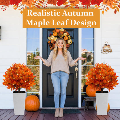 Light-Up Autumn Maple Tree – LED Fall Tree Ornament🍁🍂