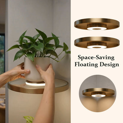 Floating Wall Shelf with Built-in Ambient LED Light