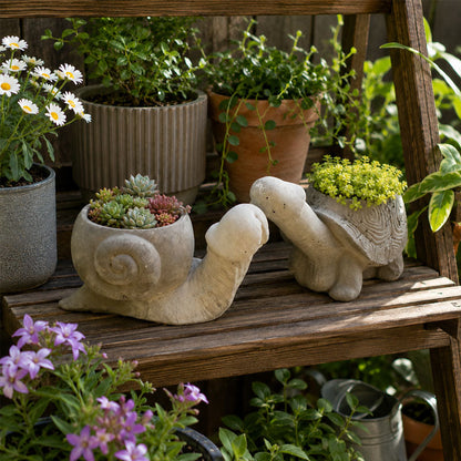 🐢FUN GARDEN PLANTING POTS