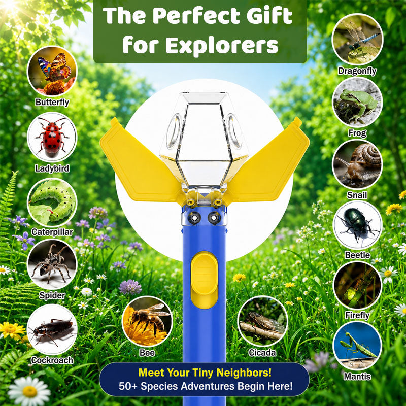 🐞6x Magnification Bug Catcher & Viewer for Kids