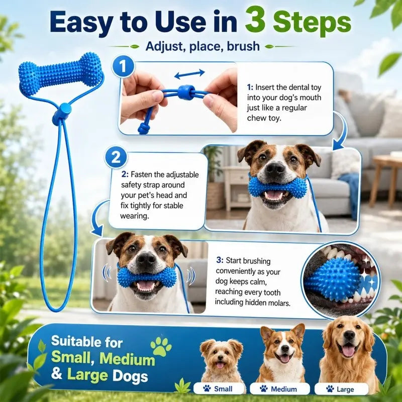 Adjustable Neck Strap Dog Tooth Cleaning Chew Stick