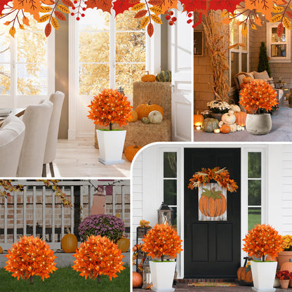 Light-Up Autumn Maple Tree – LED Fall Tree Ornament🍁🍂
