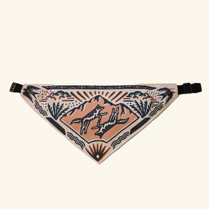 2-in-1 Dog Water Bandana🐶💦