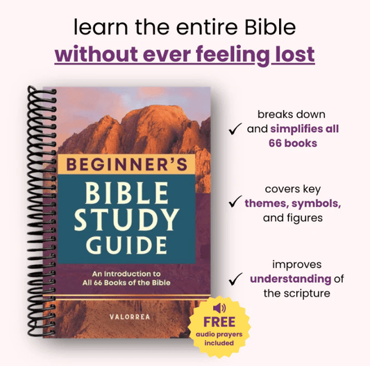 ✝️LAST DAY 49% OFF - 📖The Beginner's Bible Study Guide