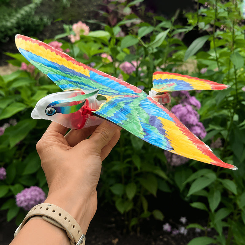 Flying Bird Glider Toy – Colorful Flapping Wing Outdoor Flyer