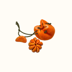🍊🧲 Fruit-Shaped Magnetic Squeeze Toy (Free Felt Bag Included)