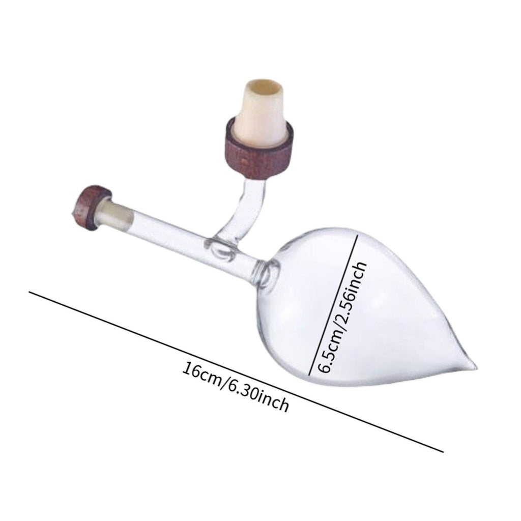 🍷 The Art of Wine™ – Elegant Glass Wine Aerator